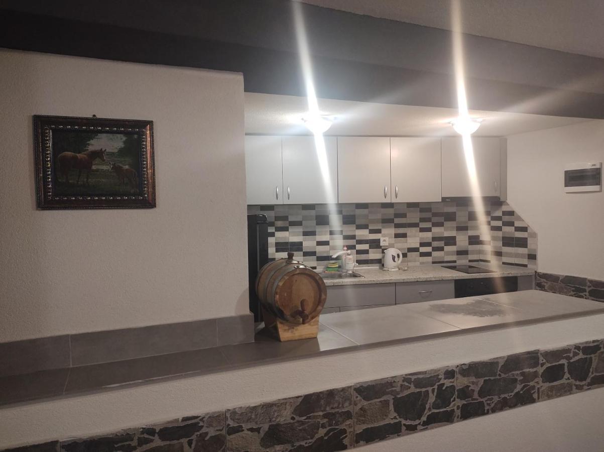 Guest House Tedi 萨帕雷瓦巴尼亚 外观 照片