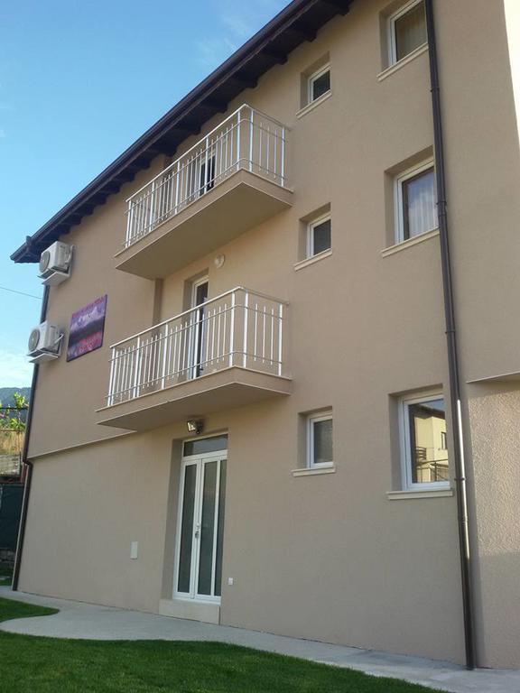 Guest House Tedi 萨帕雷瓦巴尼亚 外观 照片