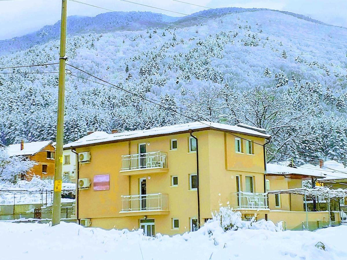 Guest House Tedi 萨帕雷瓦巴尼亚 外观 照片