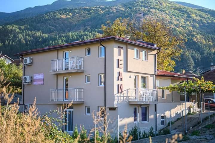 Guest House Tedi 萨帕雷瓦巴尼亚 外观 照片