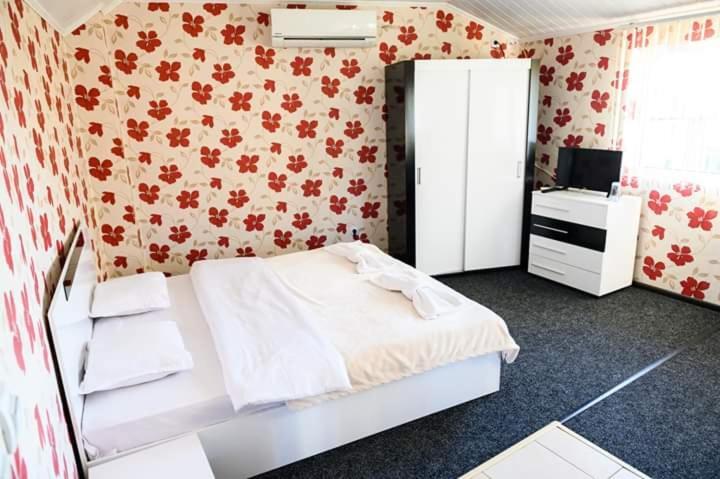 Guest House Tedi 萨帕雷瓦巴尼亚 外观 照片