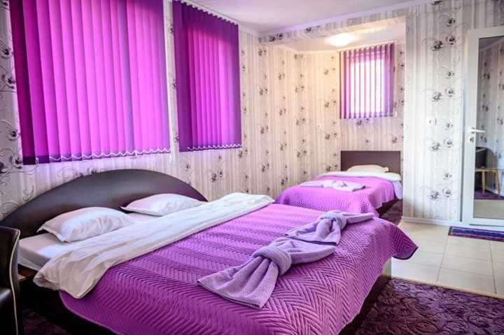 Guest House Tedi 萨帕雷瓦巴尼亚 外观 照片